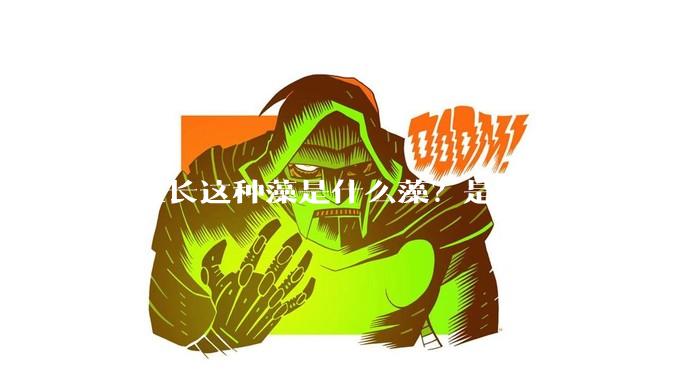 鱼缸长这种藻是什么藻？是好是坏？