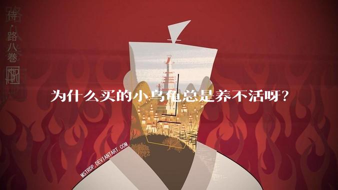 为什么买的小乌龟总是养不活呀？