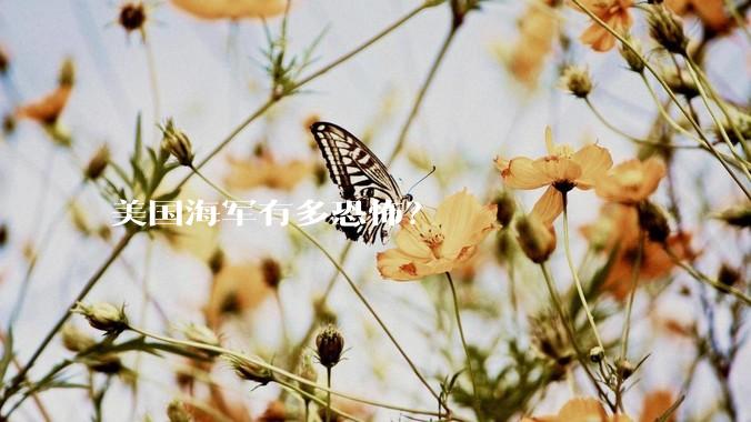 美国海军有多恐怖？