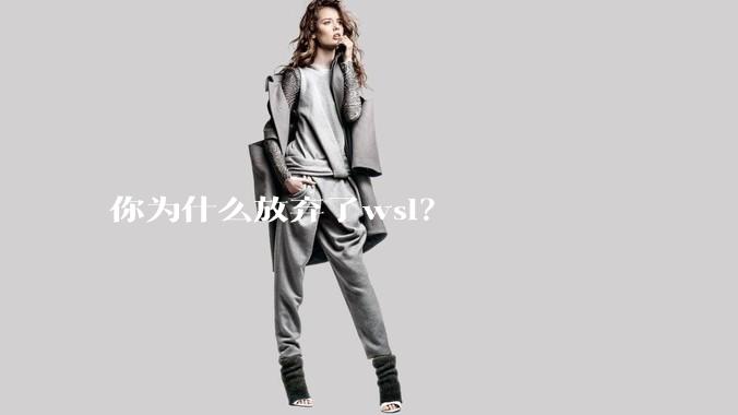 你为什么放弃了wsl？