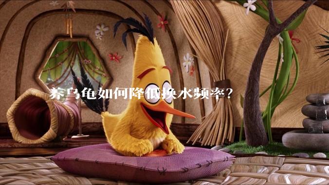 养乌龟如何降低换水频率？