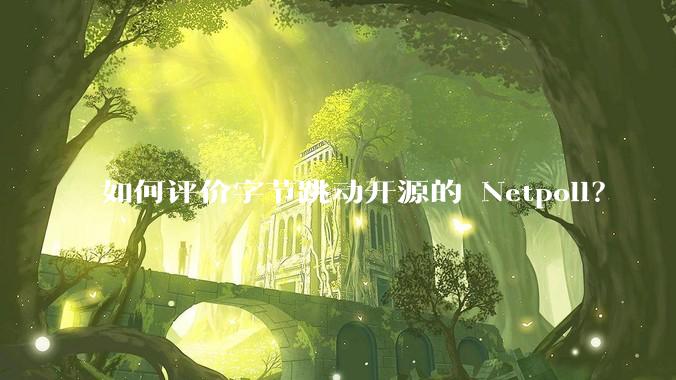 如何评价字节跳动开源的 Netpoll？