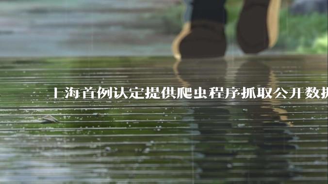 上海首例认定提供爬虫程序抓取公开数据构成提供侵入计算机信息系统程序罪案，该案件有哪些细节值得关注？