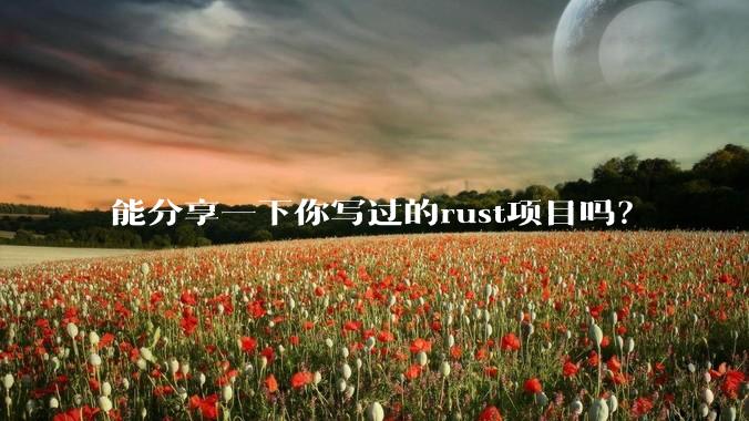 能分享一下你写过的rust项目吗？