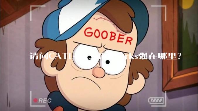 请问CATIA比SolidWorks强在哪里？