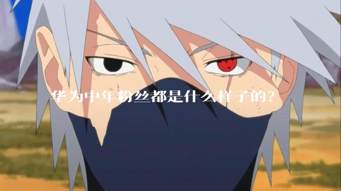 华为中年粉丝都是什么样子的？