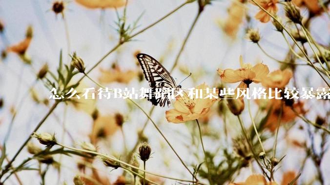 怎么看待B站舞蹈区和某些风格比较暴露的up？