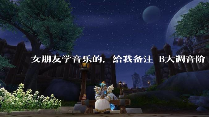 女朋友学音乐的，给我备注 B大调音阶 是什么含义呢？