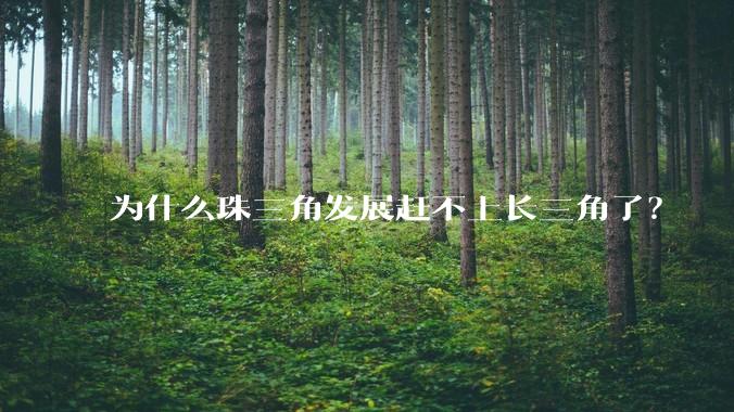 为什么珠三角发展赶不上长三角了？