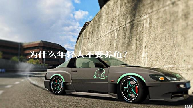 为什么年轻人不要养龟？